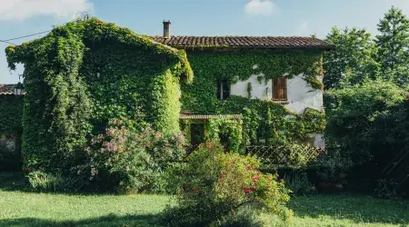 Une Pause Sur La Colline